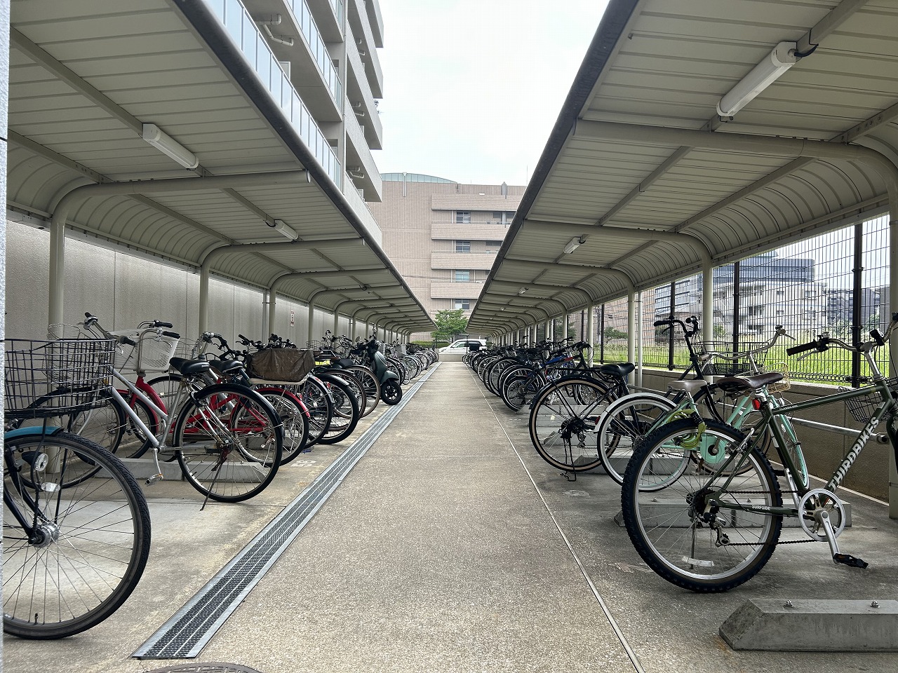 自転車置き場