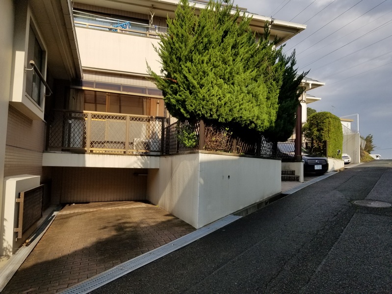 現地写真