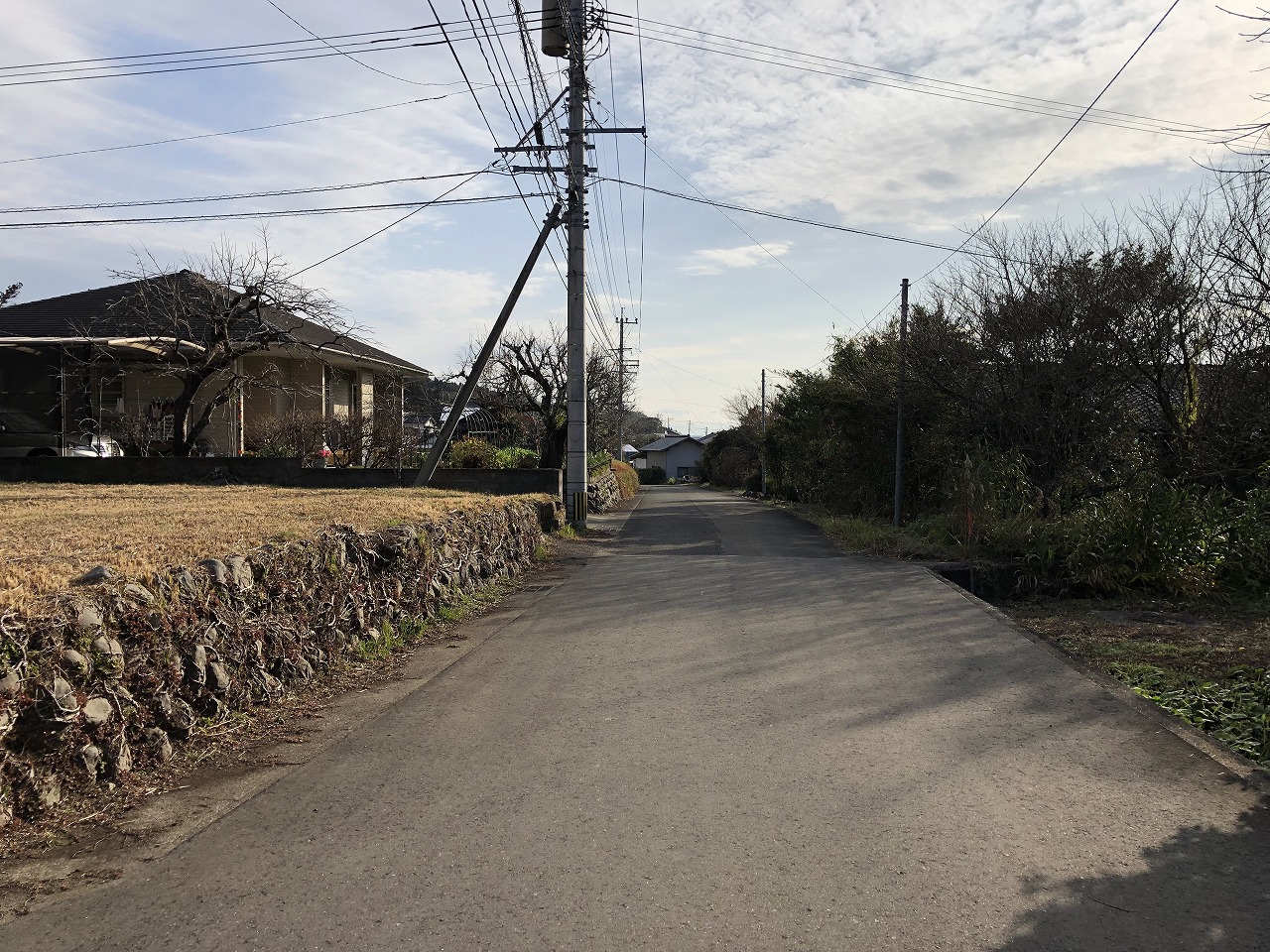 前面道路(南側)