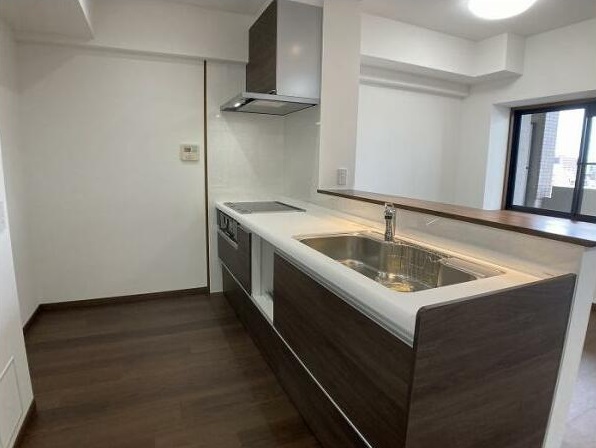 食器洗乾燥機付き新品